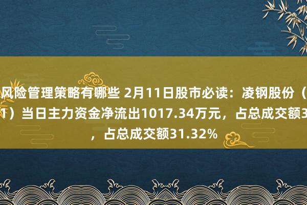 风险管理策略有哪些 2月11日股市必读：凌钢股份（600231）当日主力资金净流出1017.34万元，占总成交额31.32%