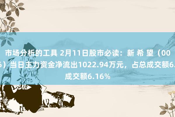 市场分析的工具 2月11日股市必读：新 希 望（000876）当日主力资金净流出1022.94万元，占总成交额6.16%