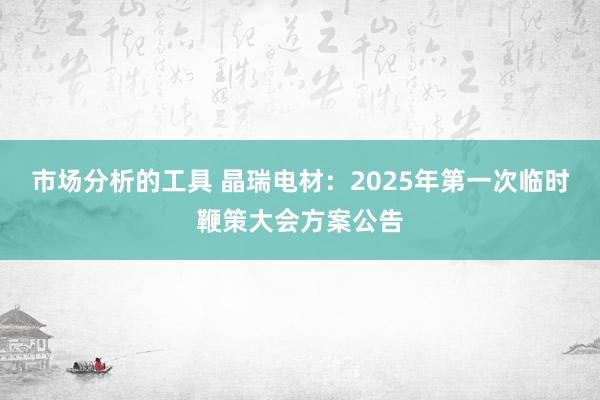 市场分析的工具 晶瑞电材：2025年第一次临时鞭策大会方案公告