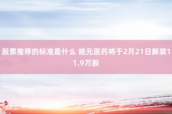 股票推荐的标准是什么 皓元医药将于2月21日解禁11.9万股