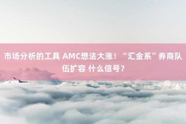 市场分析的工具 AMC想法大涨！“汇金系”券商队伍扩容 什么信号？