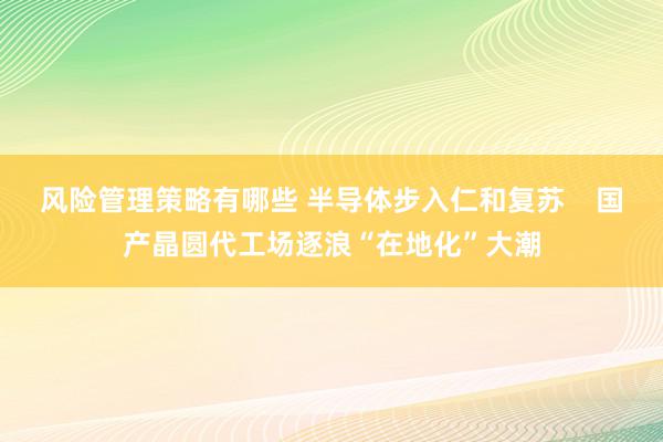 风险管理策略有哪些 半导体步入仁和复苏    国产晶圆代工场逐浪“在地化”大潮