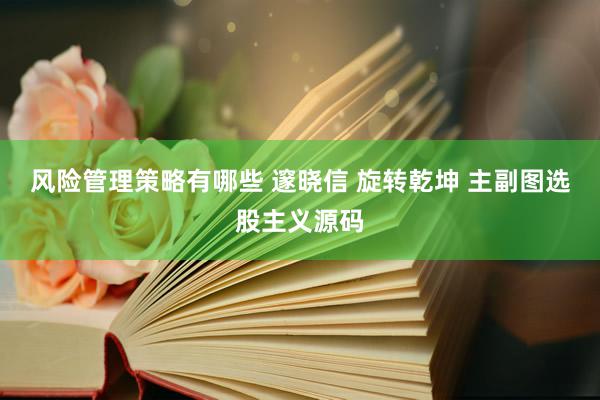 风险管理策略有哪些 邃晓信 旋转乾坤 主副图选股主义源码