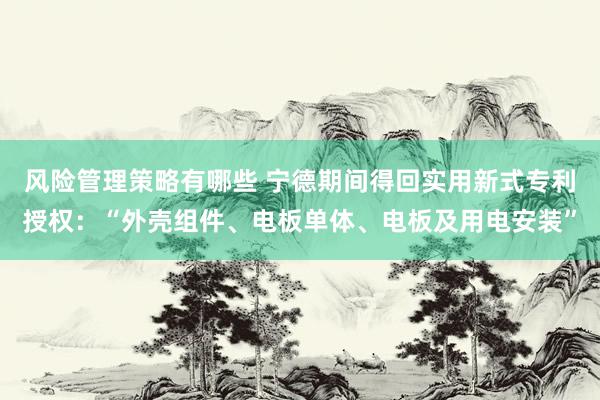 风险管理策略有哪些 宁德期间得回实用新式专利授权：“外壳组件、电板单体、电板及用电安装”