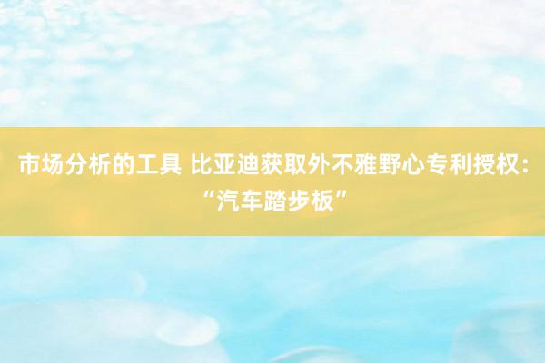 市场分析的工具 比亚迪获取外不雅野心专利授权：“汽车踏步板”