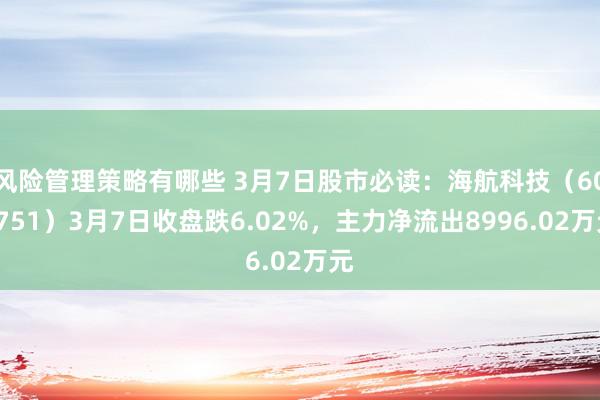 风险管理策略有哪些 3月7日股市必读：海航科技（600751）3月7日收盘跌6.02%，主力净流出8996.02万元